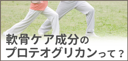 軟骨ケア成分のプロテオグリカンって？